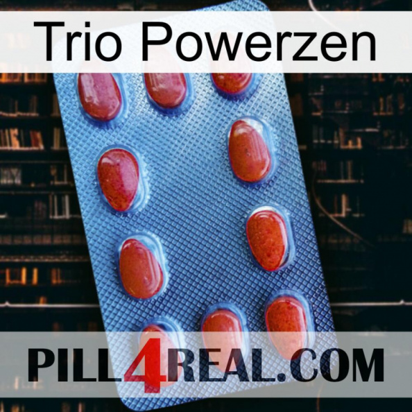 Trio Powerzen 06.jpg